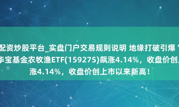 配资炒股平台_实盘门户交易规则说明 地缘打破引爆“抢粮”预期！华宝基金农牧渔ETF(159275)飙涨4.14%，收盘价创上市以来新高！