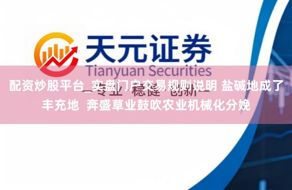 配资炒股平台_实盘门户交易规则说明 盐碱地成了丰充地  奔盛草业鼓吹农业机械化分娩