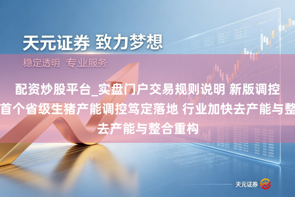 配资炒股平台_实盘门户交易规则说明 新版调控决策后首个省级生猪产能调控笃定落地 行业加快去产能与整合重构