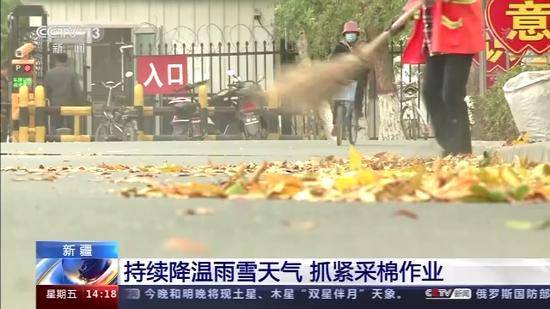  杜塞尔多夫逆袭成功逃离降级区  
